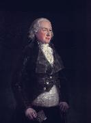 Francisco de Goya Don Pedro de alcantara Tellez Giron, The Duke of Osuna china oil painting artist